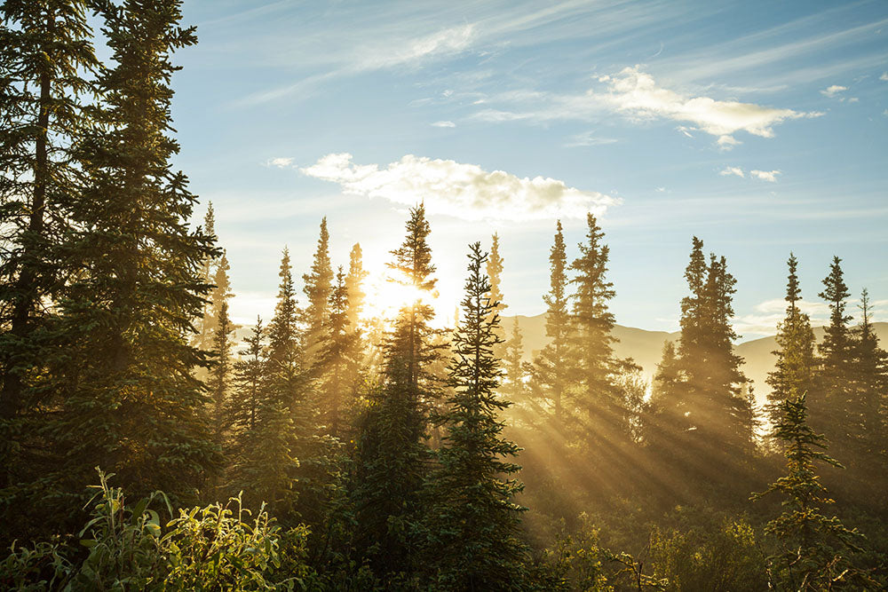 Aurinkoenergian integrointi lämmitysjärjestelmään